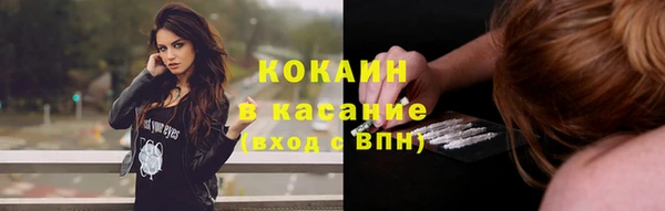 соль ск Вяземский