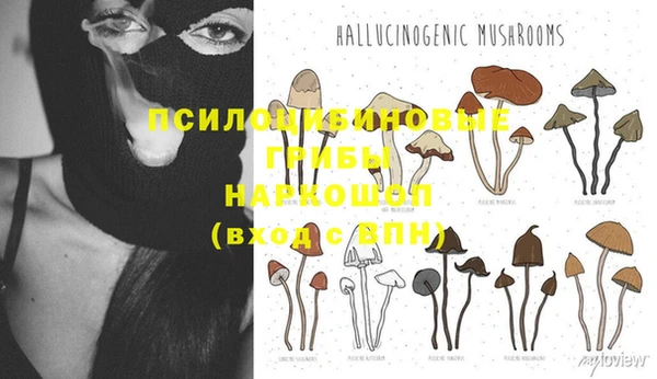 соль ск Вяземский