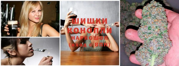 соль ск Вяземский