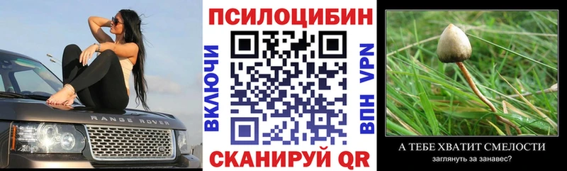 Галлюциногенные грибы Psilocybe Купить закладки Белозерск